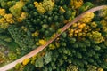 Road in the autumn forest aerial view. Yellow and green trees Royalty Free Stock Photo