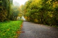 Road in autumn forest. Autumn landscape Royalty Free Stock Photo