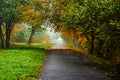 Road in autumn forest. Autumn landscape Royalty Free Stock Photo