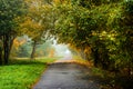 Road in autumn forest. Autumn landscape Royalty Free Stock Photo