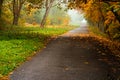 Road in autumn forest. Autumn landscape Royalty Free Stock Photo