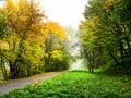 Road in autumn forest. Autumn landscape Royalty Free Stock Photo