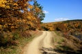 Road in the autumn forest. Beautiful autumn landscape in sunny day Royalty Free Stock Photo