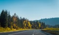 Road and autumn forest