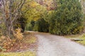 Road autumn forest landscape Park Royalty Free Stock Photo