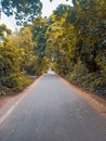 road in autumn forest monsoon season