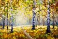 Autumn forest, white birch trees in autumn forest, golden autumn, orange autumn nature. Road in the autumn forest. Green meadow gr Royalty Free Stock Photo