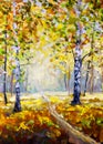 Autumn forest, white birch trees in autumn forest, golden autumn, orange autumn nature. Road in the autumn forest. Green meadow gr