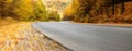 The road in the autumn forest. Panorama Royalty Free Stock Photo