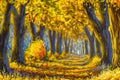 Road in the autumn forest Royalty Free Stock Photo