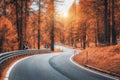 Beautiful winding mountain road in autumn forest at sunset