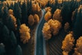 Road In The Autumn Forest, Top View From A Drone. AI Generative