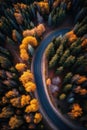 Road In The Autumn Forest, Top View From A Drone. AI Generative