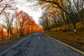 Road in autumn forest Royalty Free Stock Photo