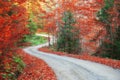 Road In Autumn Colored Leaves, Along With Freshly Fallen Leaves