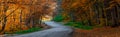 Road in autumn forest Royalty Free Stock Photo