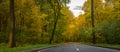 Road in the autumn forest, yellow leaves on the asphalt and trees