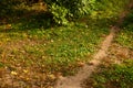 Road among autumn grass is close, soft focus