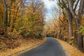 The road in the autumn park, the roadsides are strewn with fallen leaves Royalty Free Stock Photo