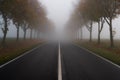 The road in autumn and thick fog Royalty Free Stock Photo