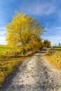 road with autumn tree near saddle Beskyd in Slovakia Royalty Free Stock Photo