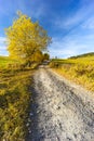 road with autumn tree near saddle Beskyd in Slovakia Royalty Free Stock Photo