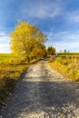 road with autumn tree near saddle Beskyd in Slovakia Royalty Free Stock Photo