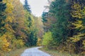 Road among autumn trees, hilly road in the forest Royalty Free Stock Photo
