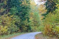 Road among autumn trees, hilly road in the forest Royalty Free Stock Photo
