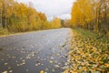 Road in Autumn woods with colorful foliage tree in rural area.