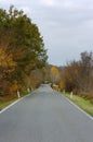 Road in autums