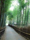 Road in bamboo forest Royalty Free Stock Photo
