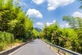 Road through the bamboo forest Royalty Free Stock Photo