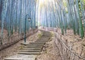 Road in a bamboo forest.Hangzhou Royalty Free Stock Photo