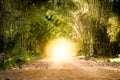 Road through bamboo forest and light end the end of tunnel