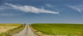 Road in the Bardenas Reales Navarre desert