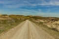 Road in the Bardenas Reales Navarre desert