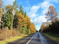 Colorful autumn trees and road