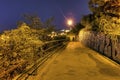 A road in the beautiful park Letna in Prague at night