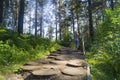 A road in a beautiful park, paved with wood, on which a girl walks