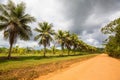 Road in Belize Royalty Free Stock Photo