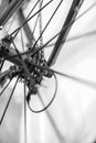 Bicycle wheel in motion as abstract background Royalty Free Stock Photo