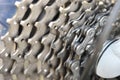 Bicycle cogwheel and chain