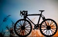 Road bike model with sunset background.