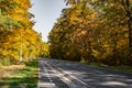 The road and the bike path through the autumn forest Royalty Free Stock Photo