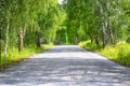 Road in birchwood in summer Royalty Free Stock Photo