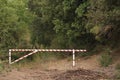 Road blocked. Access to the forest with trees with green leaves