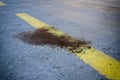 Road with bloodstain after an accident - 3D rendering