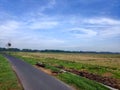 Road, blue sky, rice fields in the morning Royalty Free Stock Photo