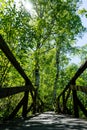 Old wooden bridge in deep forest, natural vintage background. Royalty Free Stock Photo